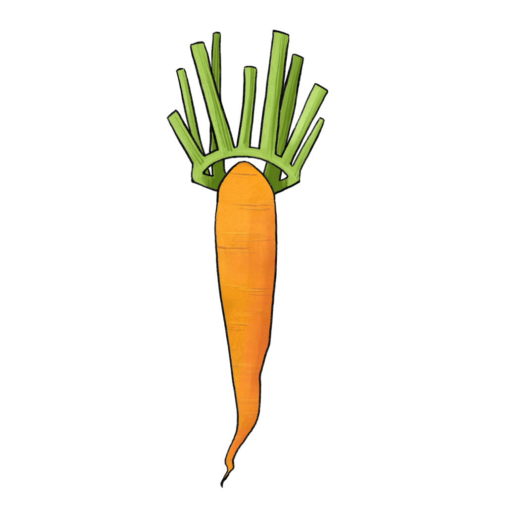 illustration of a carrot with a leaf crown