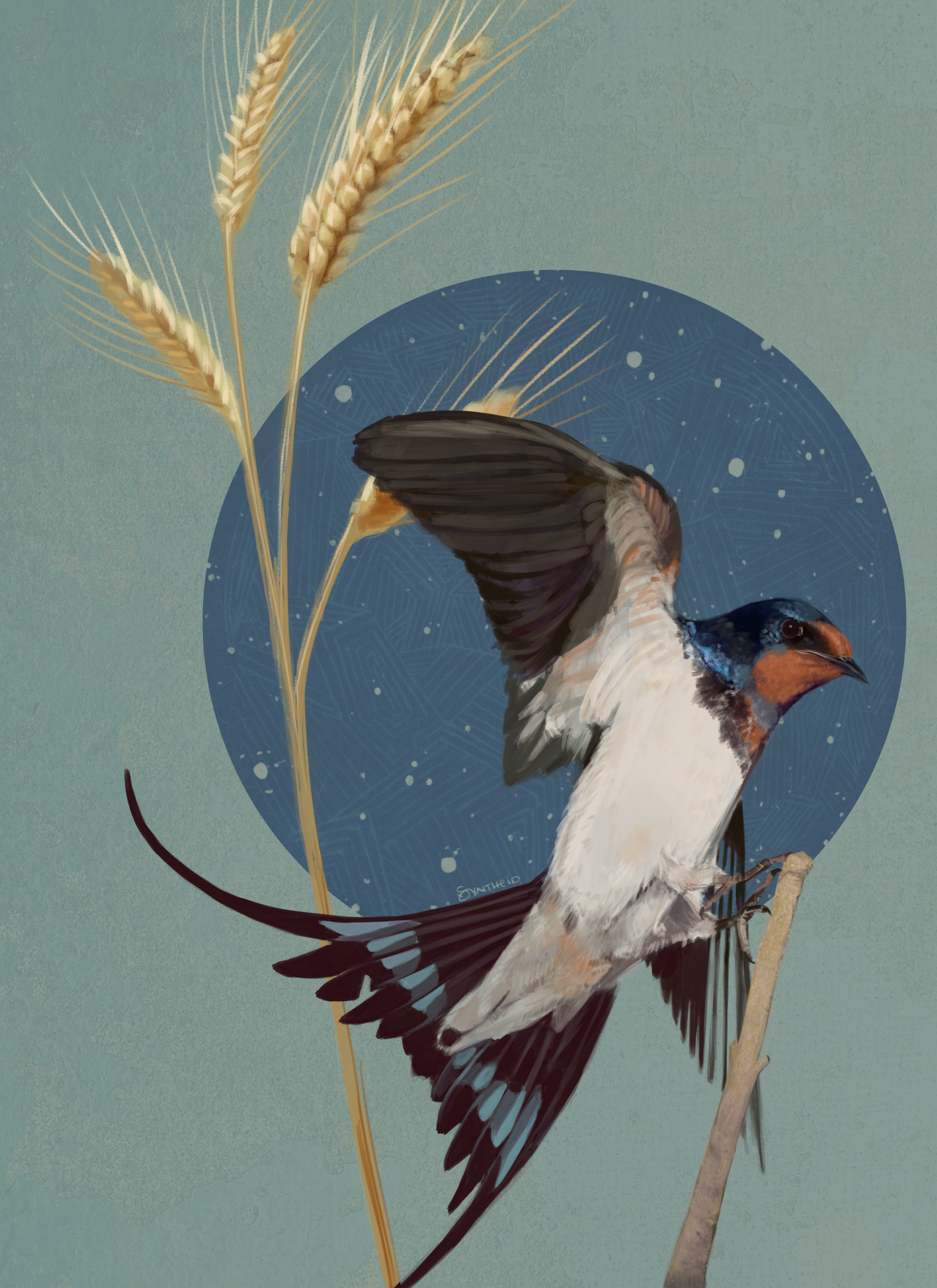 barn swallow with graphic impression of stars and wheat behind it